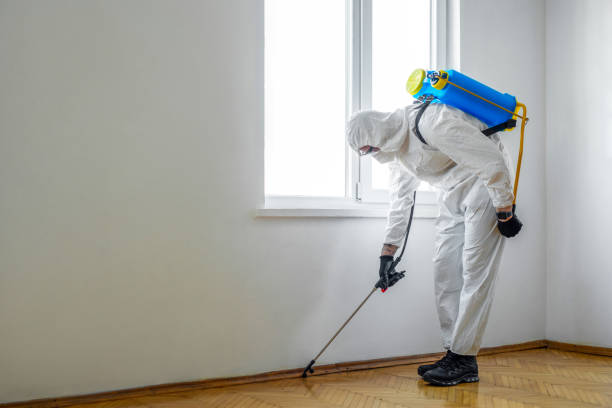 Best Indoor Pest Control  in Middletown, CT